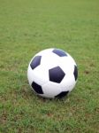 Soccer Ball On Green Grass Stock Photo