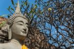 Statue Of Buddha, At Wat Yai Chai Mongkol, Ayutthaya, Thailand Stock Photo