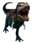 Tyrannosaurus Rex Stock Photo