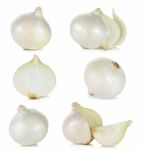 White Onion Isolated On The White Background Stock Photo