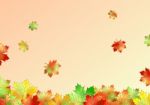 Autumn Maple Leaves Stock Photo