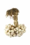 Group Of Dry Garlic With Pole On White Background Stock Photo