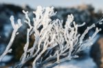 On Top Of Mount Wellington In Hobart, Tasmania During The Day Stock Photo