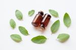 Holy Basil Essential Oil With  Fresh Leaves Stock Photo