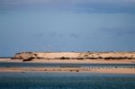 Sand Dunes In Fuseta Stock Photo