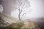 First Autumn Snow On Mountain Misty Road Stock Photo