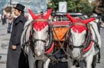 Horse And Carriage In The Old Town Square In Prague Stock Photo