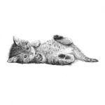 Little Cat Hand Drawn Stock Photo