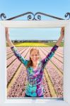 Dutch Woman Standing In Window In Front Of Pink Flowers Field Stock Photo