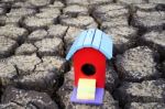 Colorful Bird House On Crack Soil Stock Photo