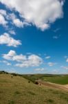 Scenic View Of The Rolling Sussex Countryside Stock Photo