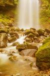 The Lost Waterfall Trail Near Boquete In Panama. Fall Number Thr Stock Photo