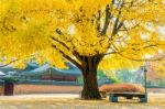 Autumn In Gyeongbokgung Palace,south Korea Stock Photo