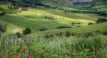 Farm In Val D'orcia Tuscany Stock Photo