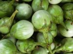 Green Eggplants Stock Photo