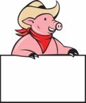 Cowboy Pig Hog Holding Blank Sign Stock Photo