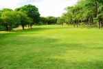 Garden With Trees And Sky Stock Photo