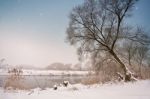 Snowfall Over The River. Winter Misty Cloudy Snowy Weather Stock Photo