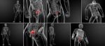 3d Rendering Bladder Anatomy Stock Photo