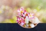 Mini Set Of Bubble Bath And Shower With Flowers Stock Photo