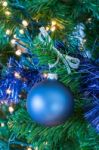 Blue Christmas Ball Hanging In Tree Stock Photo