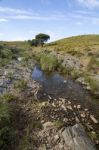 Beautiful Spring View Of A Countryside Stream Of Water Located In Portugal Stock Photo