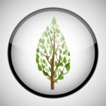 Tree In Circle Frame. Icon Concept Stock Photo