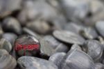 Stone Engraved With Word Dream Stock Photo