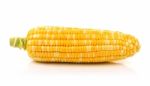 Corn Isolated On A White Background Stock Photo