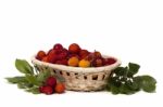 Strawberry Tree (arbutus Unedo) Fruit Stock Photo