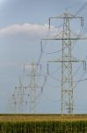 Fields And Power Poles Stock Photo