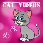 Cat Videos Represents Audio Visual And Cats Stock Photo