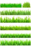 Green Grass Stock Photo