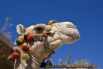 Camels Head Stock Photo