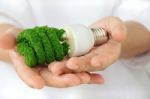 Eco Light Bulb Concept Stock Photo