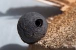 Wasp Nest Stock Photo