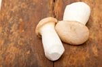 Fresh Wild Mushrooms Stock Photo