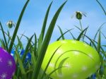 Easter Eggs Means Green Grass And Environment Stock Photo