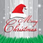 Merry Christmas And Santa's Cap On White And Grey Wooden Background. Christmas Tree On Grey Lath Boards Background Stock Photo