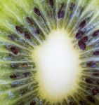 Kiwi Fruit Means Organic Products And Fruits Stock Photo