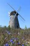 Windmill And Flowers Stock Photo