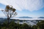 Sea Of Mist View Point At Mae Moei Stock Photo