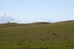 Empty Green Hills With Very Few Scattered Trees Stock Photo