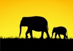 Abstract Of Elephant Family Stock Photo