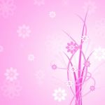 Pink Background Shows Florals Floral And Flowers Stock Photo