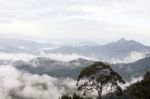 Fog On Mountain Thailand Stock Photo