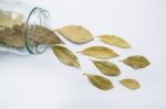 Dried Bay Leaves In Glass Jar On White Wooden Background Stock Photo