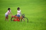 Girls Having Fun On Bike Stock Photo