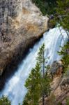 Lower Yellowstone Falls Stock Photo