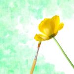 Brush Paint Yellow Flower Stock Photo